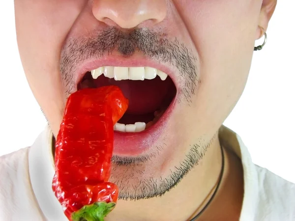 Fechar-se de homem comendo pimenta vermelha pimenta quente — Fotografia de Stock