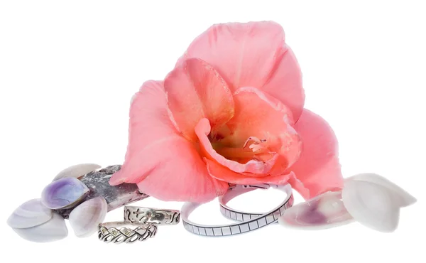Kadın Mücevherat, çiçek ve kabukları üzerinde beyaz izole — Stok fotoğraf
