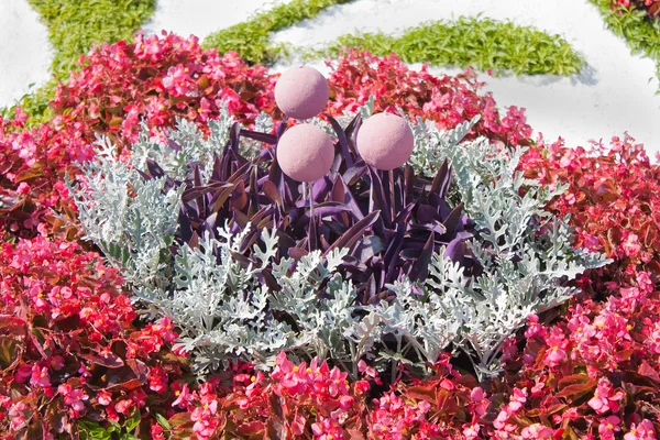 Цветы в форме круга с тремя шариками — стоковое фото