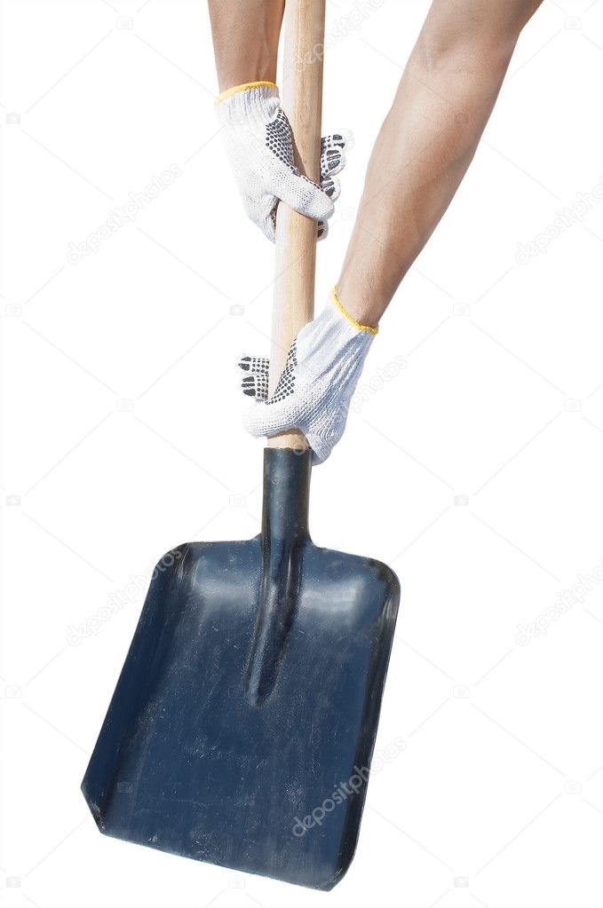 Hands in gloves holding a shovel, isolated