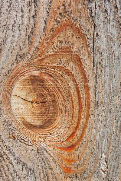 Textura de madera vieja de cerca —  Fotos de Stock
