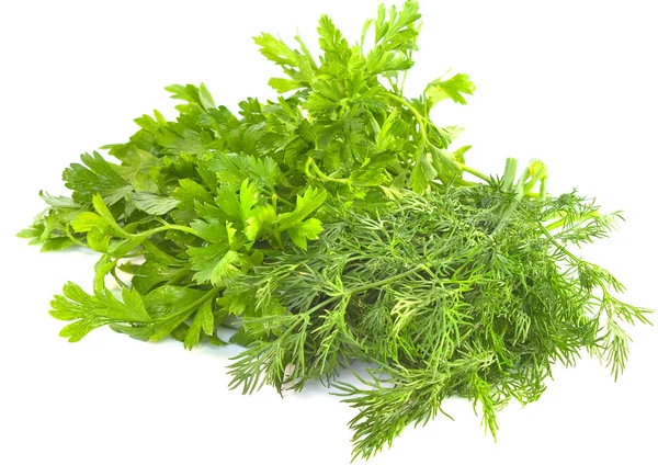 Dill and parsley on a white background — Stock Photo, Image