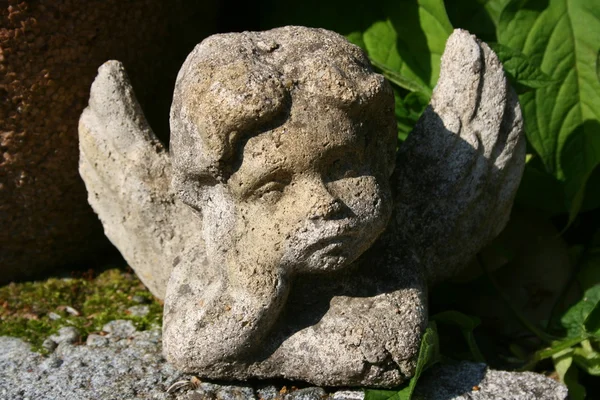 Anjo de pedra — Fotografia de Stock