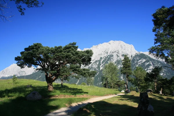 stock image Hiking trail