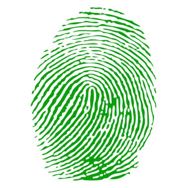 Green fingerprint vector clipart