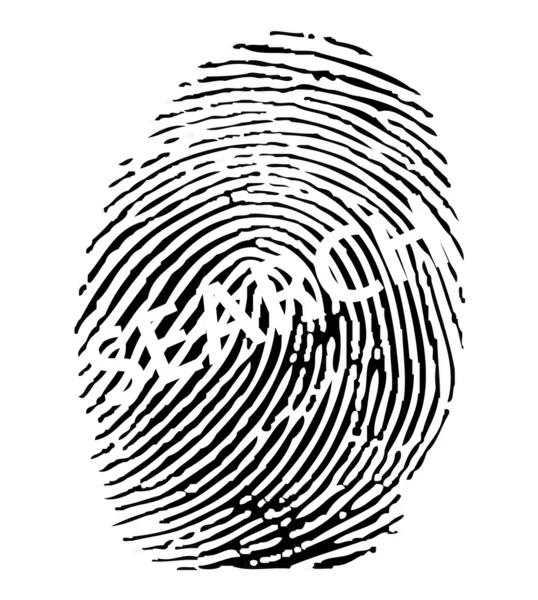 Finger print with search sign — Stock Vector