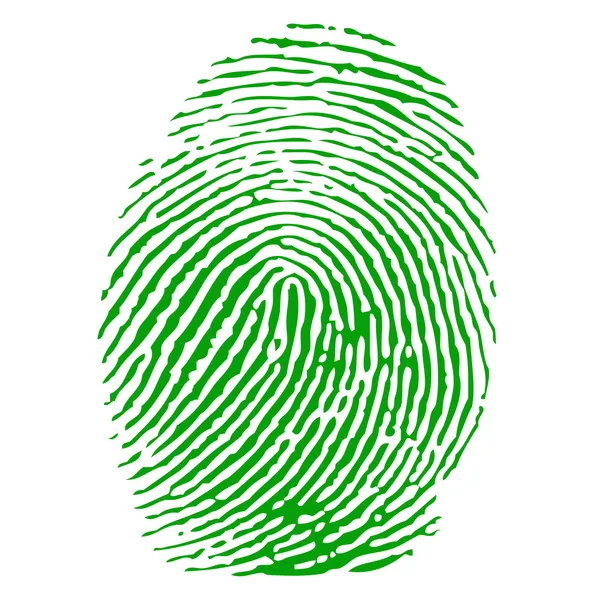 Green fingerprint vector — Stock Vector