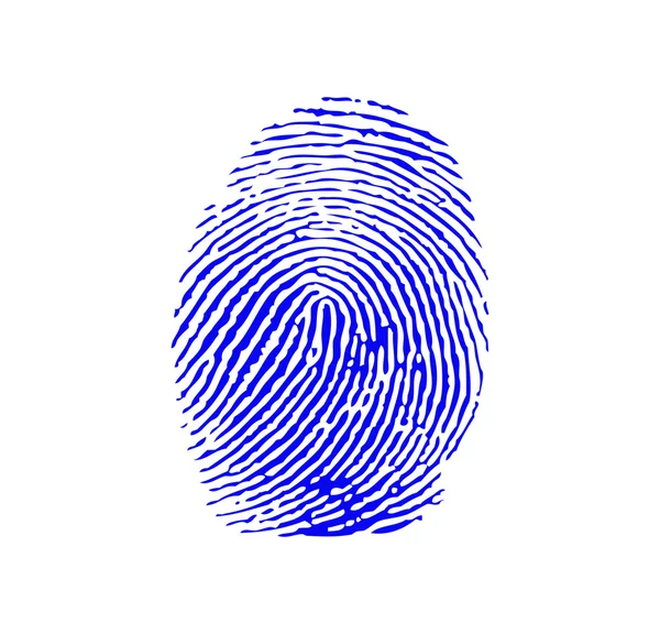 Blue fingerprint vector — Stock Vector