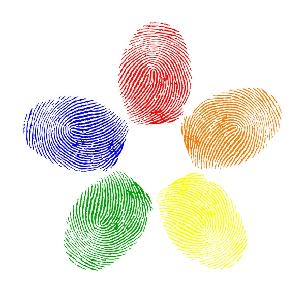 Vector of colored fingerprints — Stock Vector