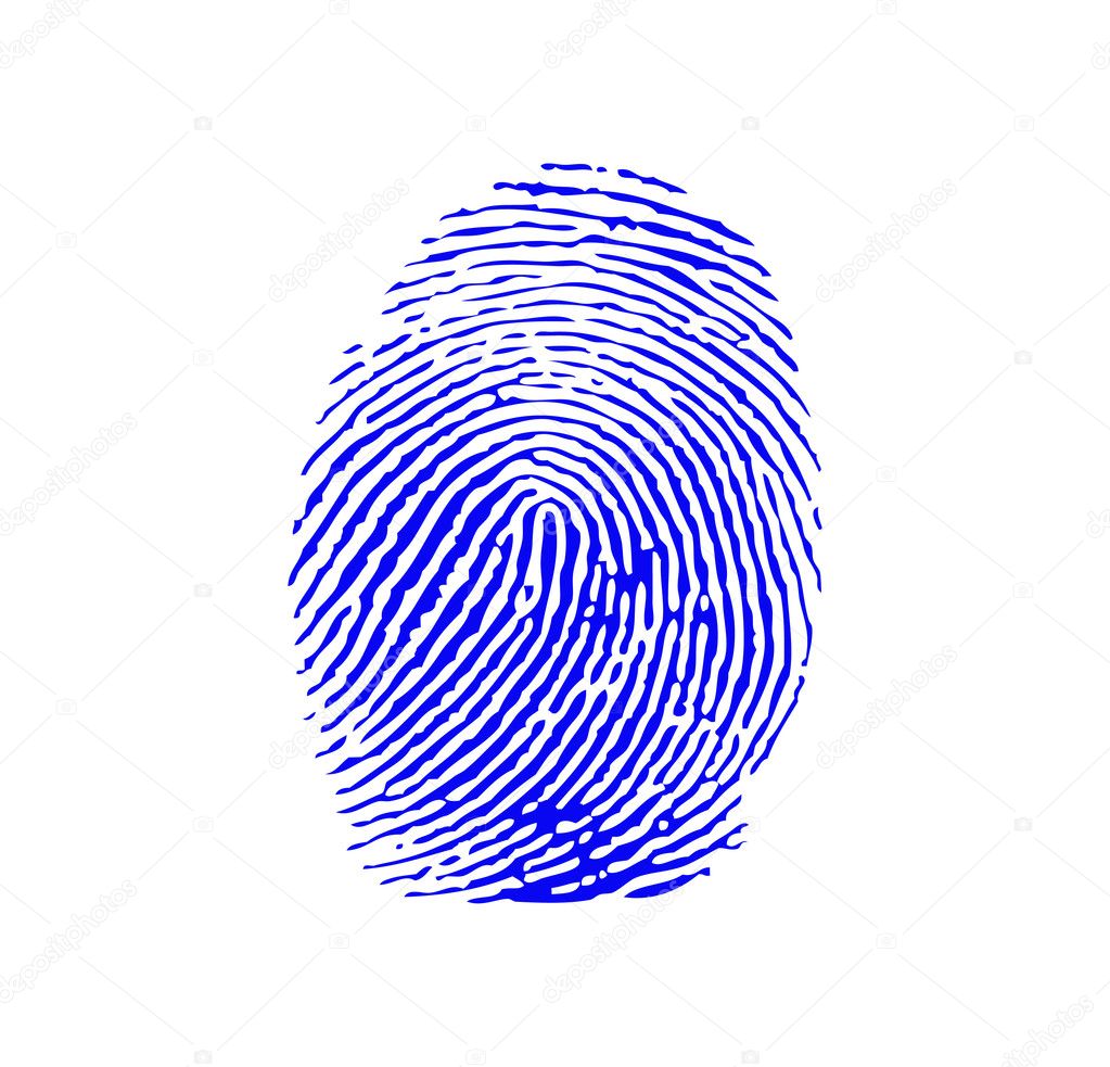 Blue fingerprint vector