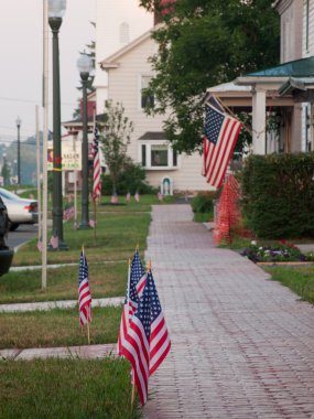 Amerikan bayrakları