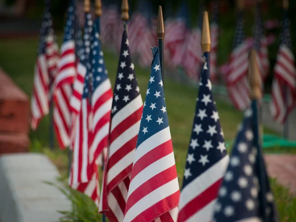 American flags — Stock Photo, Image
