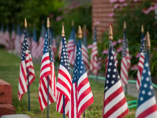 Banderas americanas — Foto de Stock
