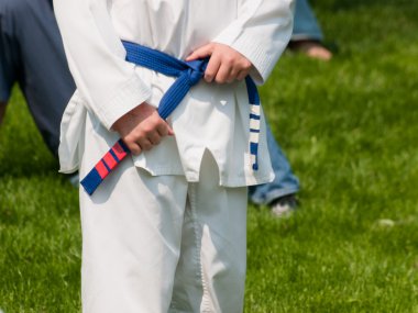 Taekwondo