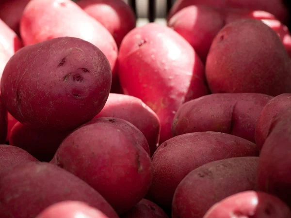 红土豆 — 图库照片