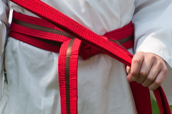 stock image TaeKwonDo