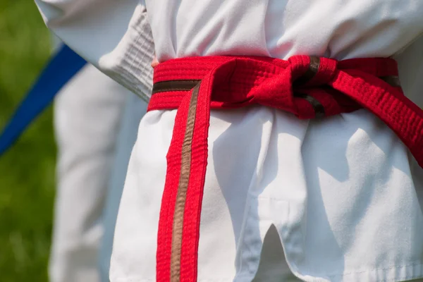Taekwondo. —  Fotos de Stock