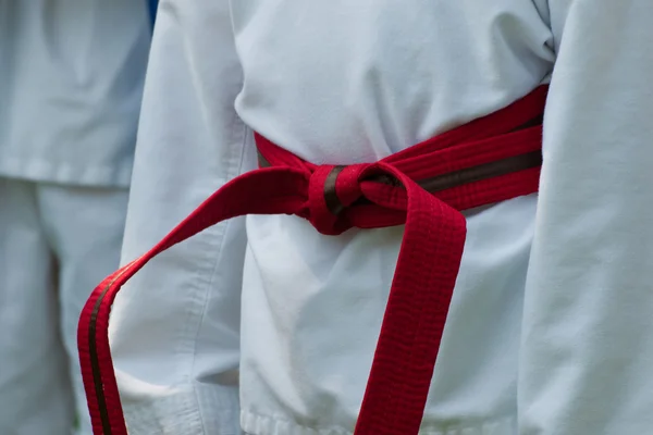 Taekwondo — Photo