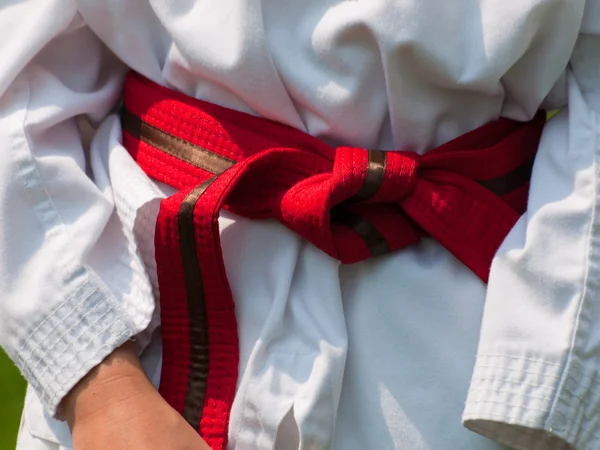 Stock image TaeKwonDo