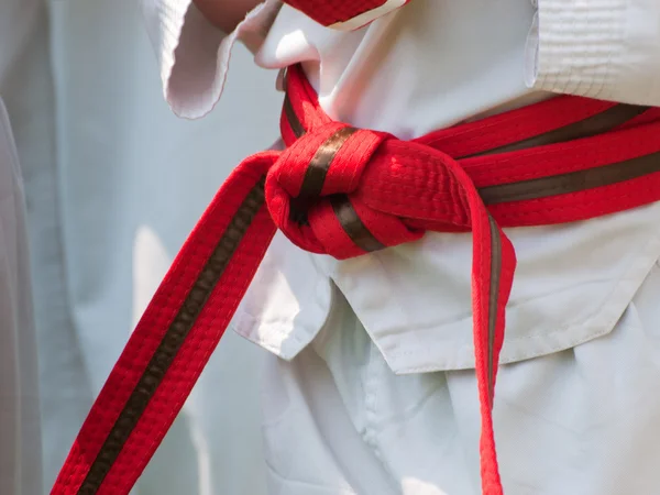 stock image TaeKwonDo