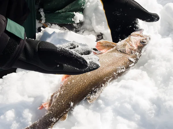 Ice Fishing — Stock Photo, Image