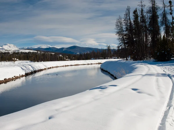 stock image Winter landscape