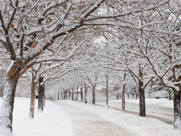 stock image City after the snow