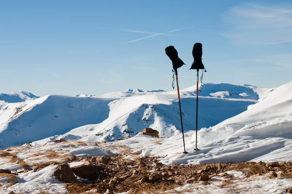 Wanderumfragen — Stockfoto