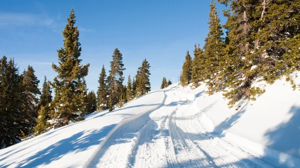 Snow Trail — Stock Photo, Image