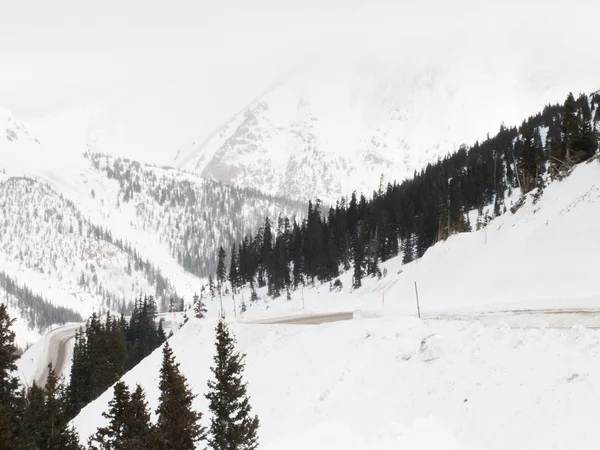눈 덮인 겨울 장면 — 스톡 사진