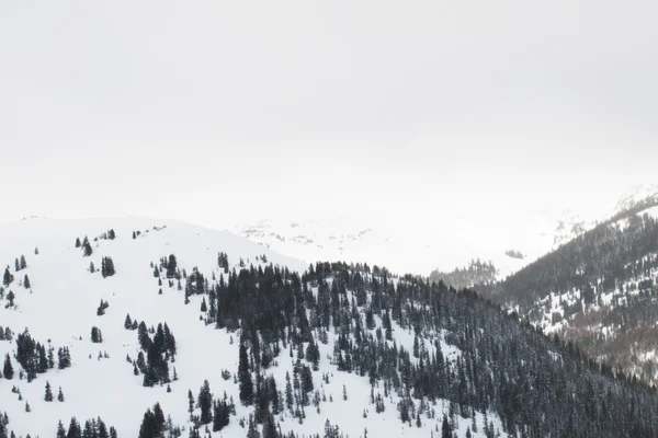 Snörik vinter scen — Stockfoto