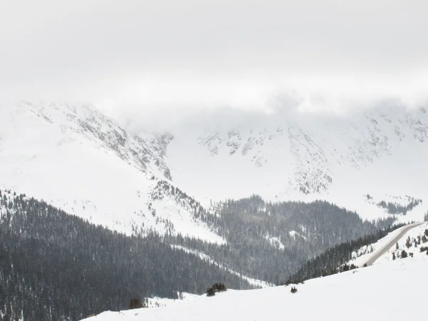 Scena invernale nevosa — Foto Stock