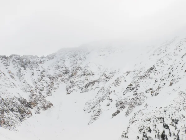 雪の冬のシーン — ストック写真