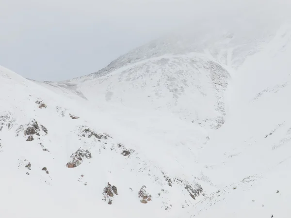 Karlı kış sahne — Stok fotoğraf