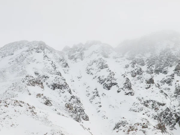雪の冬のシーン — ストック写真