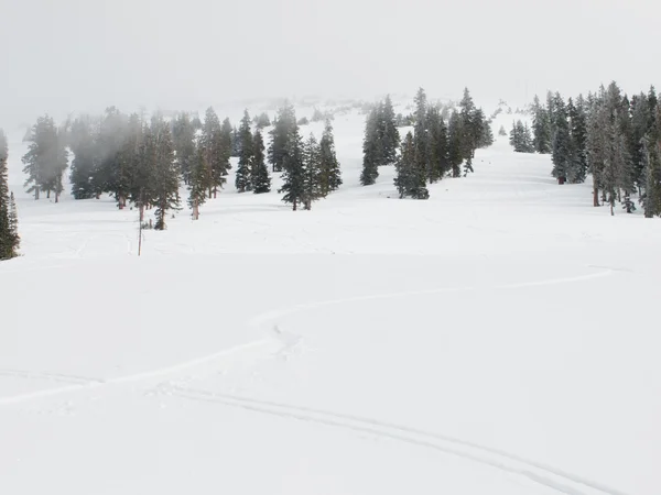 Świeże narciarskich śledzić na góry — Zdjęcie stockowe