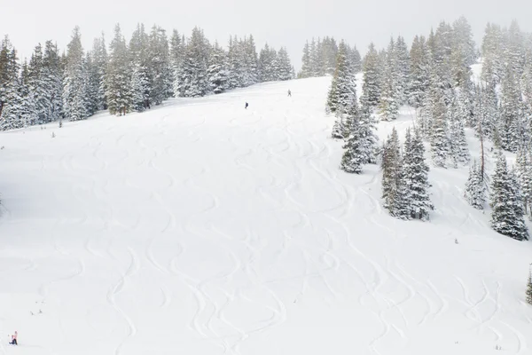 Świeże narciarskich śledzić na góry — Zdjęcie stockowe