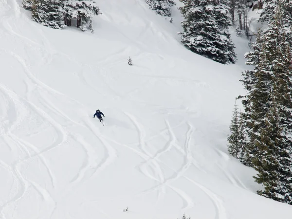 Pista da sci fresca sul versante montano — Foto Stock