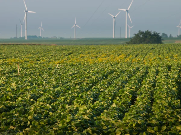 stock image Wind turbines farm