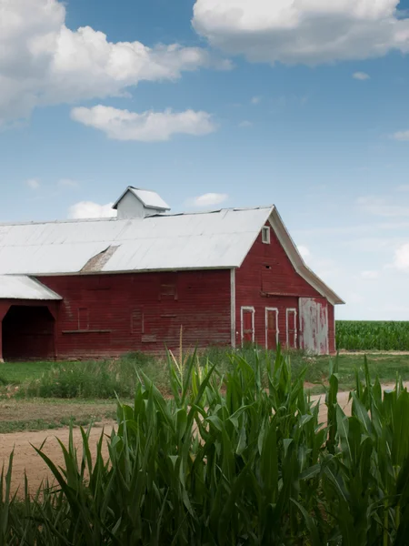 Kukuřičném poli a stodola — Stock fotografie
