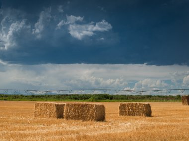 Straw Bales clipart