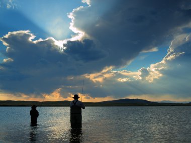 balıkçılık