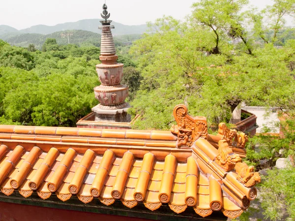 stock image Palace roof