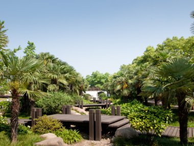 Japon Bahçesi
