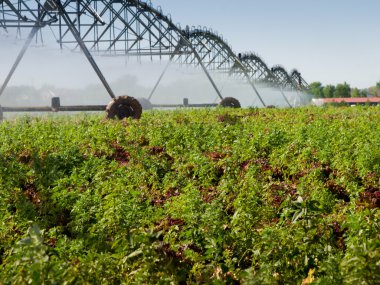 Farm Irrigation clipart