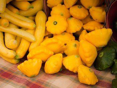 Sunburst Squash