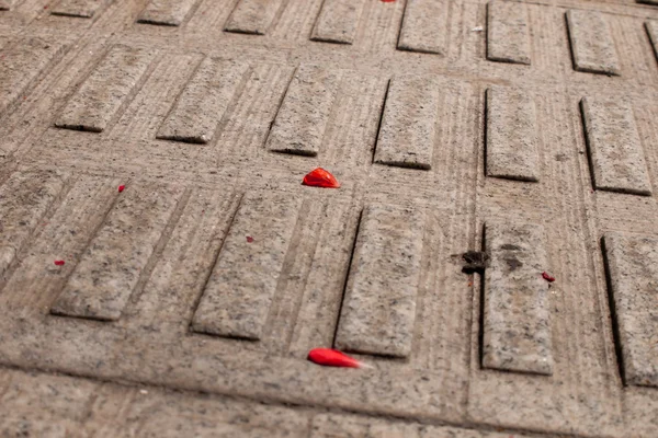 stock image Paving