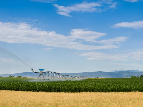 Irrigação agrícola — Fotografia de Stock
