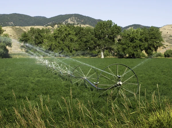 农业灌溉 — 图库照片