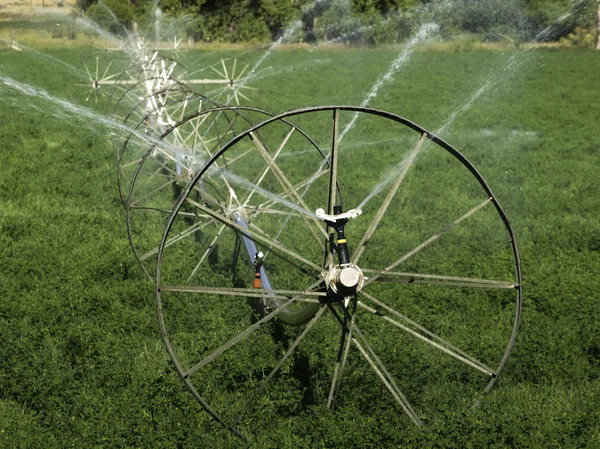 Bewässerung der Landwirtschaft — Stockfoto